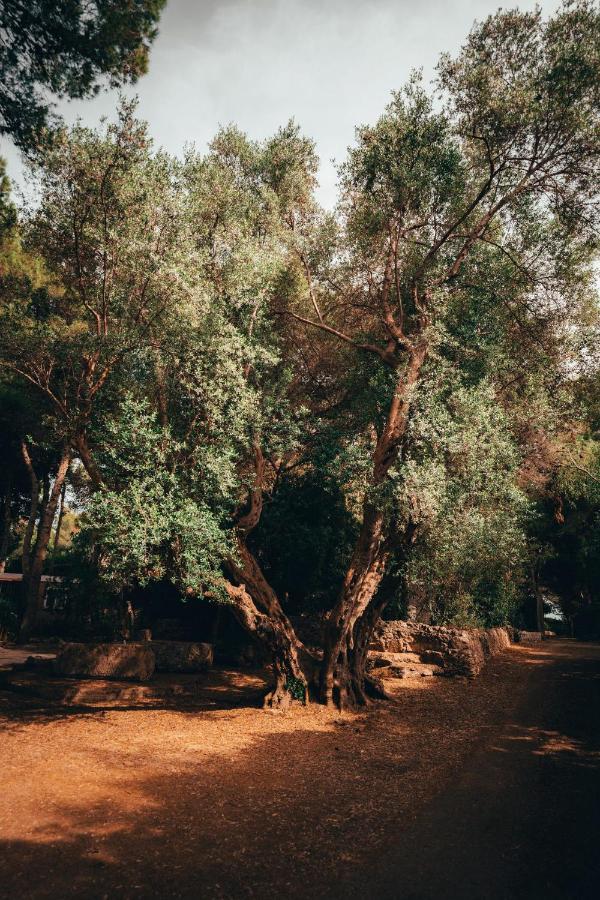 דירות לפוראנו I Giardini Di Santomaj מראה חיצוני תמונה